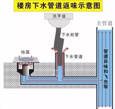 告別廚衛臭味？先從讀懂地漏開始！